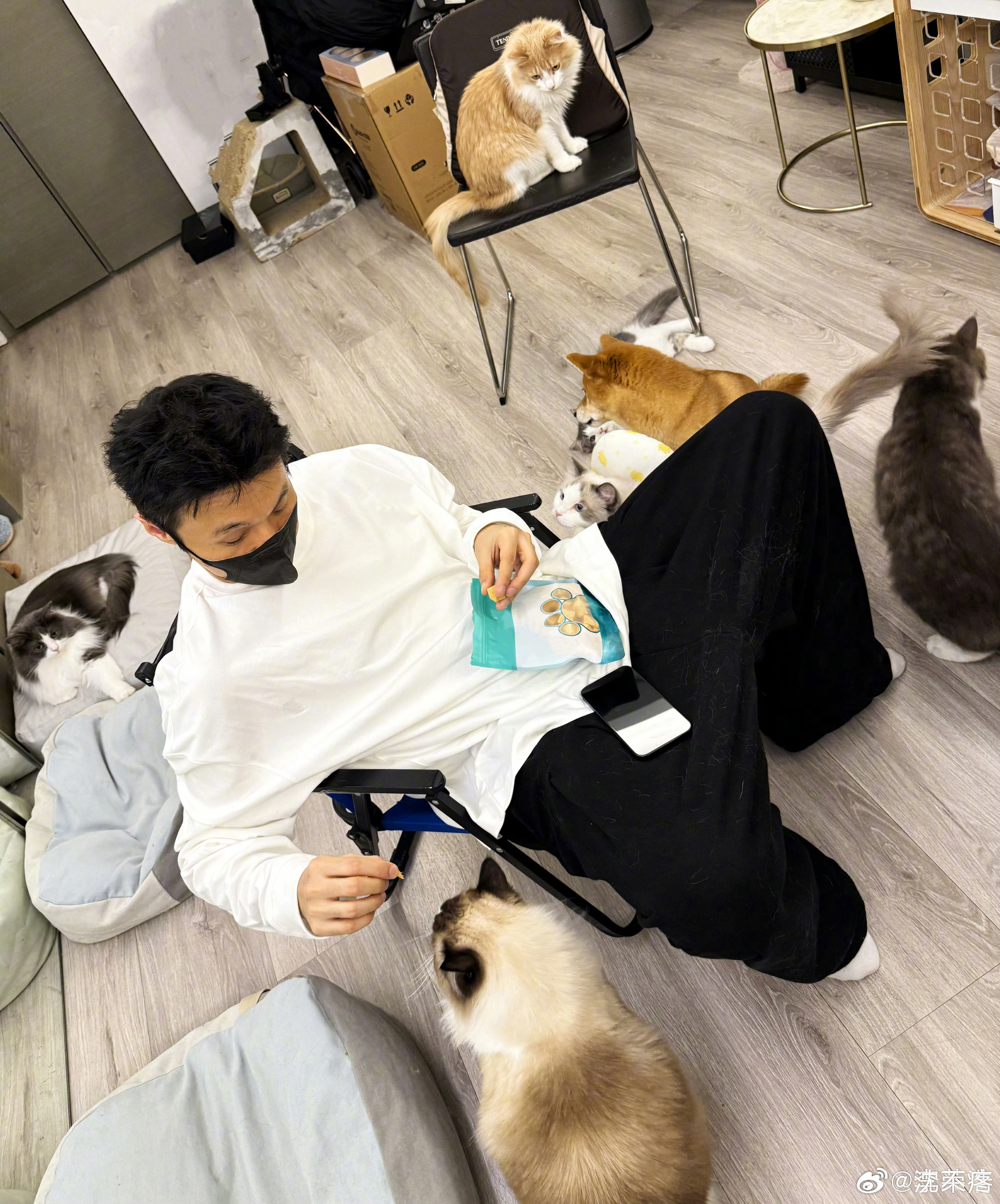 六只猫一只狗！李荣浩的五一我的梦[苦涩]李荣浩[超话] ​​​