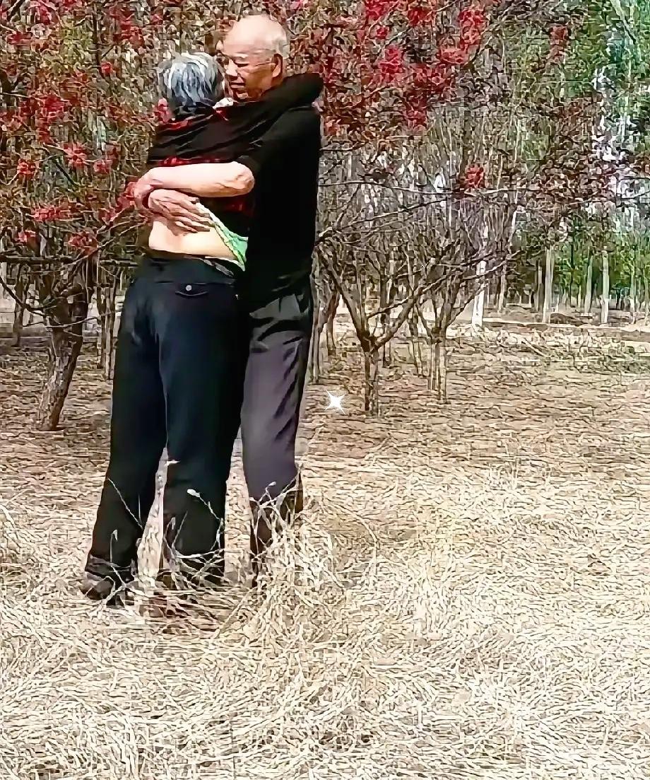 干柴烈火呀！大爷大妈在一片小树林里亲亲热热地搂抱在一起，看着就让人觉得害臊，一把