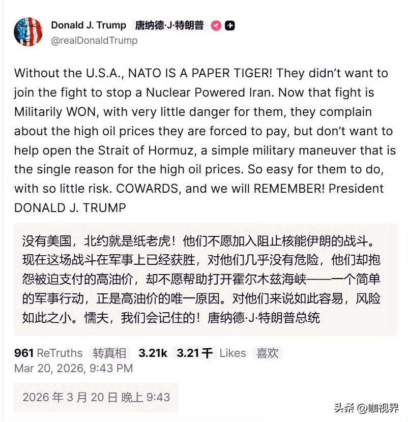 特朗普怒怼北约：“没有美国，就是纸老虎！……懦夫，我们会记住的”。之前无事的时候