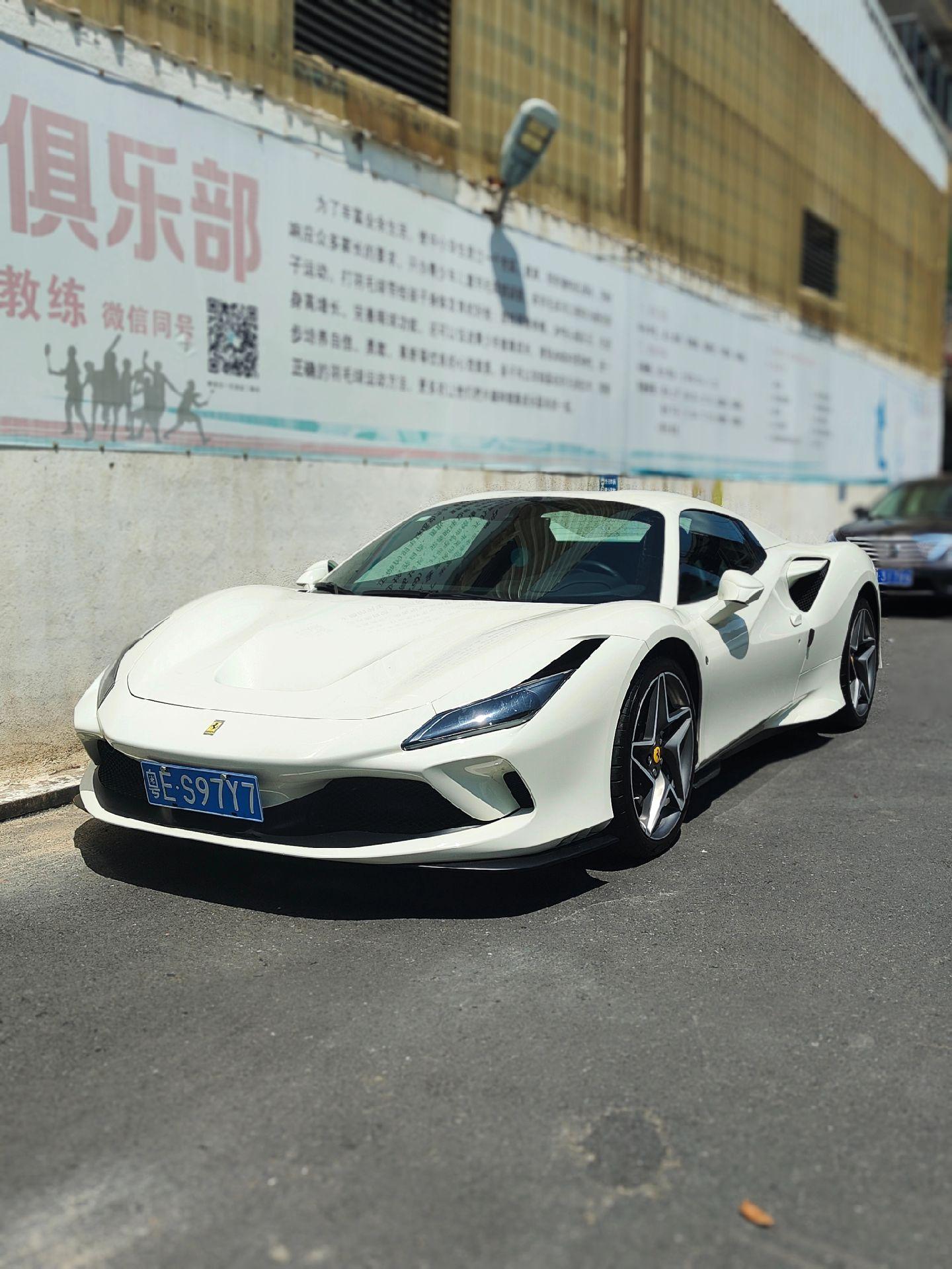 阳光下的白马。