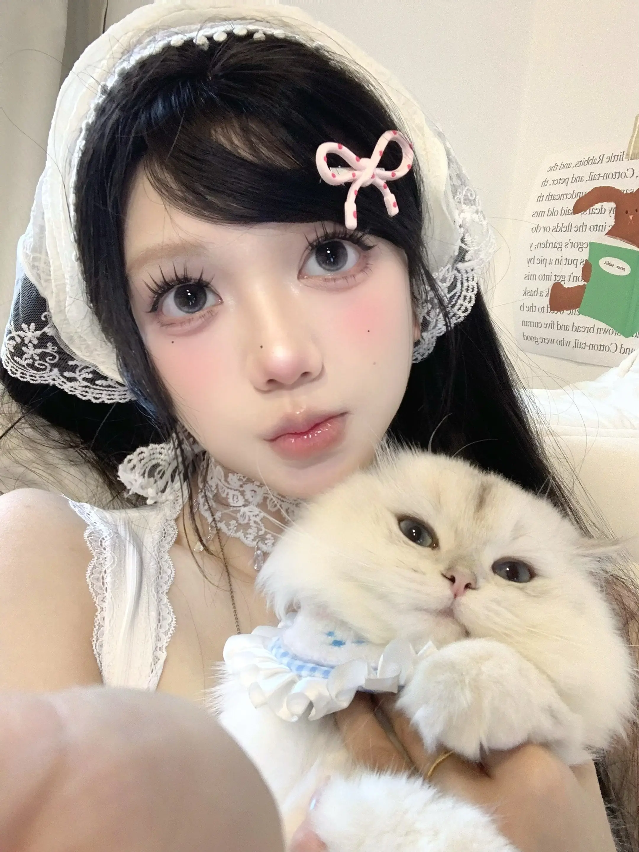 喵喵又咪咪🐈‍⬛。