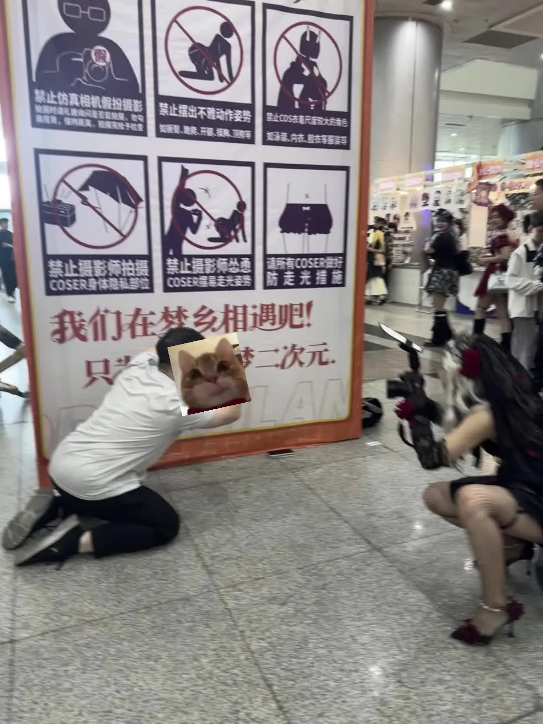 倒反天罡！