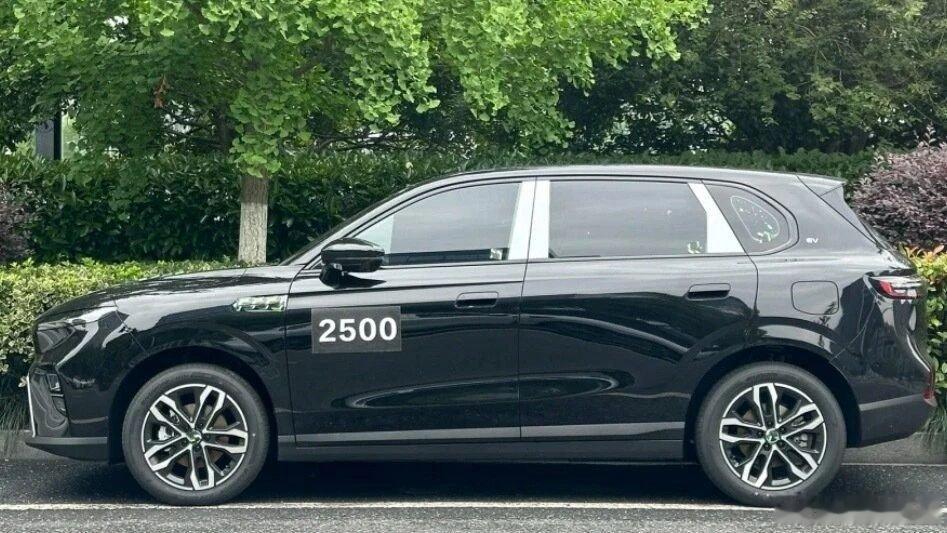 红旗和零跑做的Global SUV，看着还不赖 