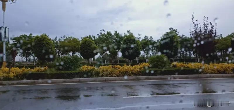 顺然
 
和田的雨，
说来就来，
没有预告，
也不讲究体面，
心里其实早就备好伞