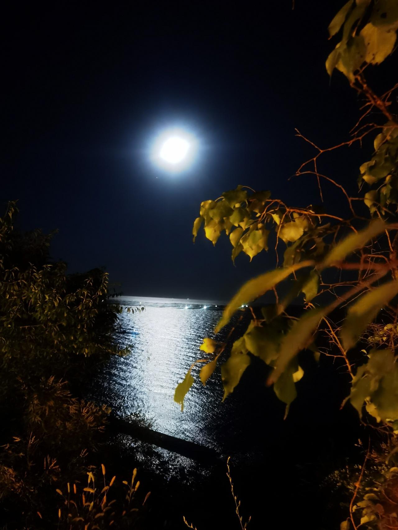 蠢人最后都是被蠢死的。