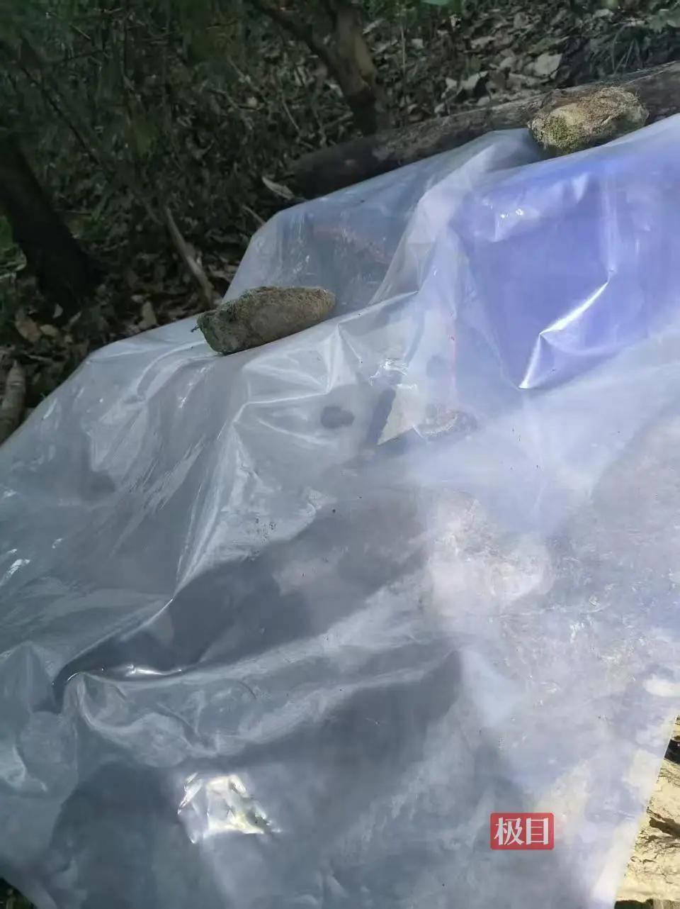 男子上山祭祖遇非法捕猎设备触电身亡【54岁男子上山祭祖时，遇非法捕猎设备触电身亡