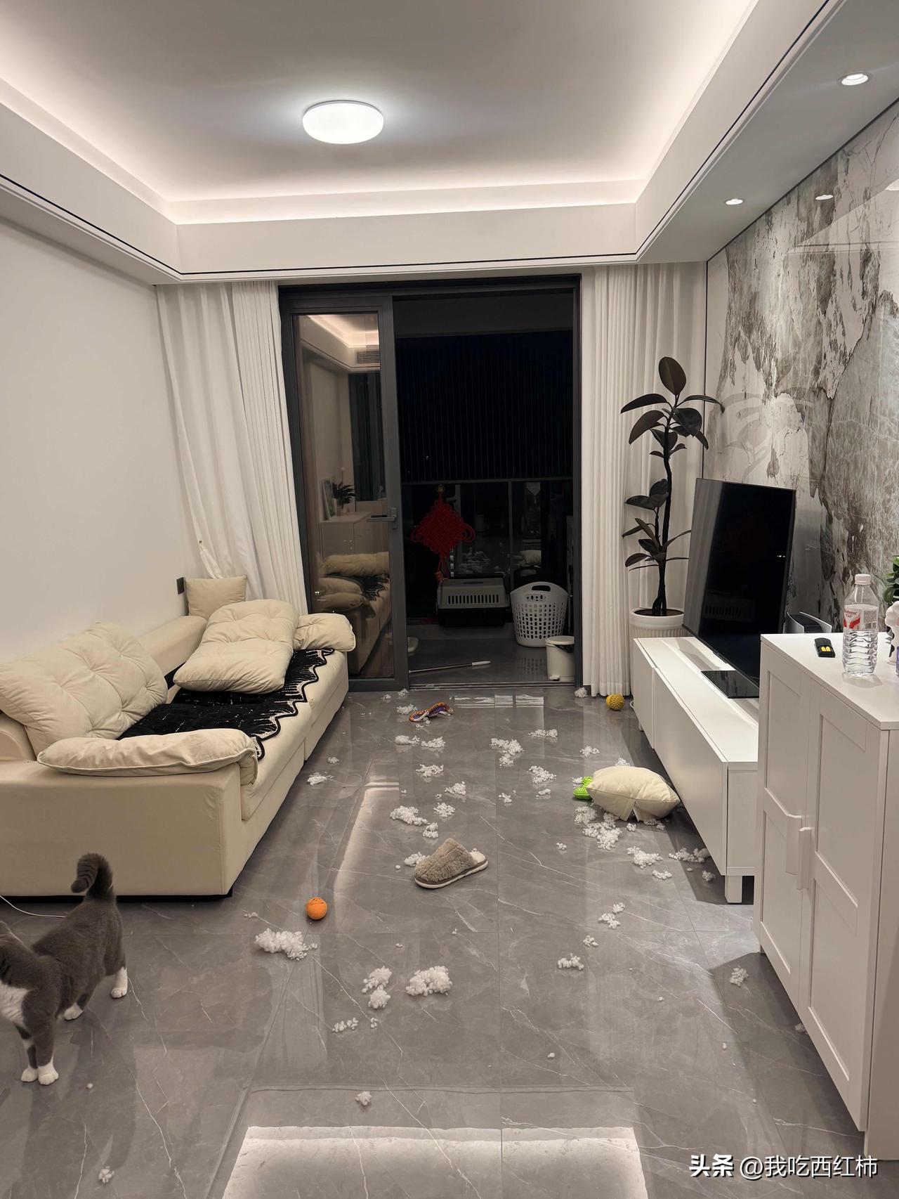 打麻将没输钱，因为打麻将去了晚回家，狗在家里发脾气把我的皮草撕得稀巴烂，损失了两