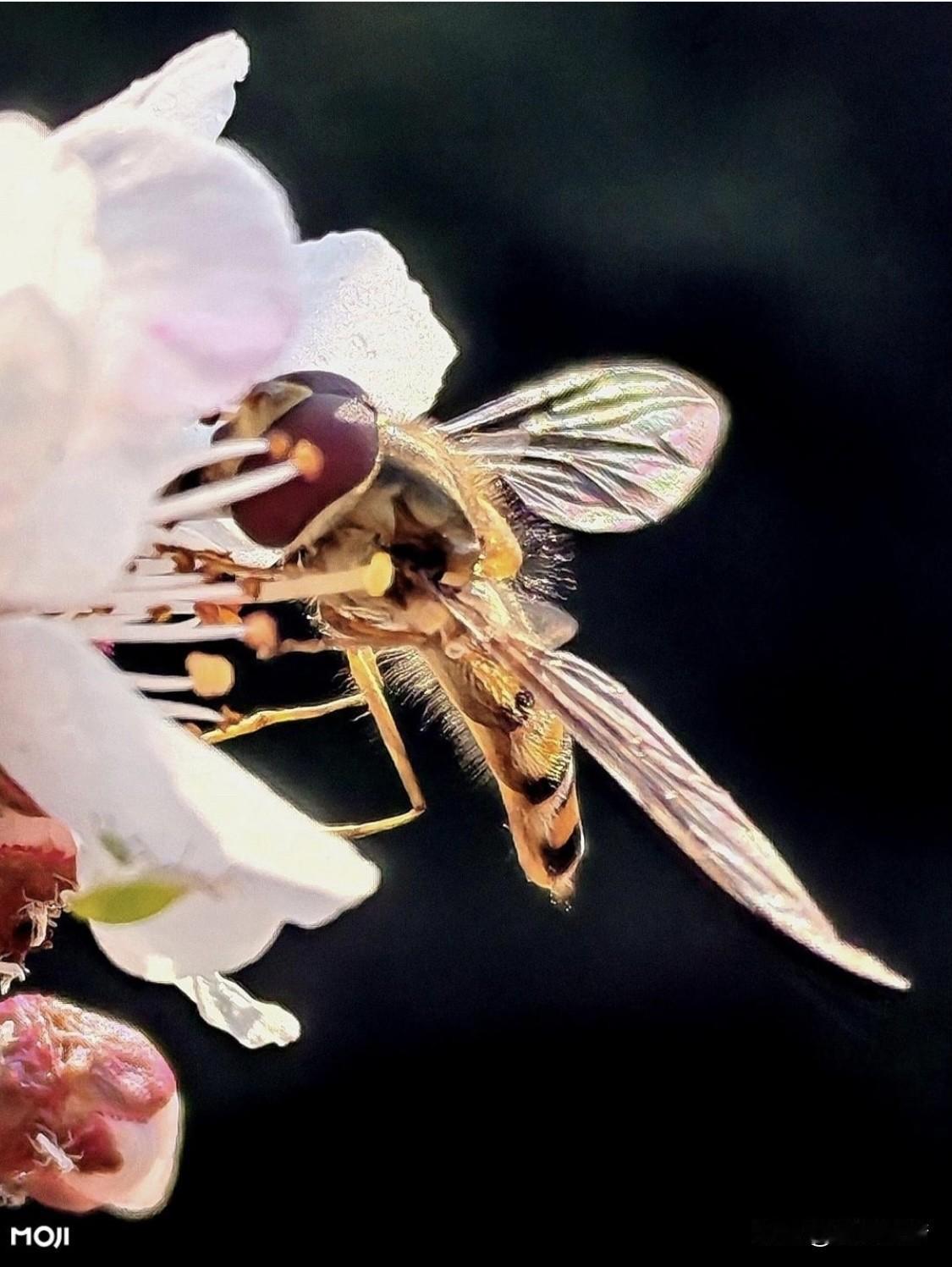 人生在世，我悟到最大的道理就是要珍惜当下。以前总觉得时间还多，很多事可以往后拖。