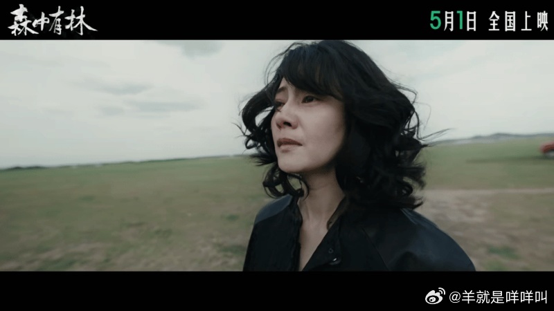 电影森中有林定档 于和伟高圆圆演绎东北爱恨情仇 看了《森中有林》的预告直接就是0