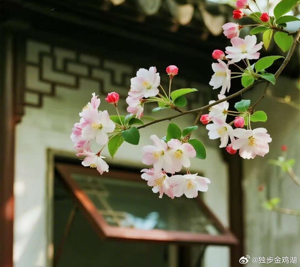 心里话        圈子决定人生，接近什么样的人，就会走什么样的路。    