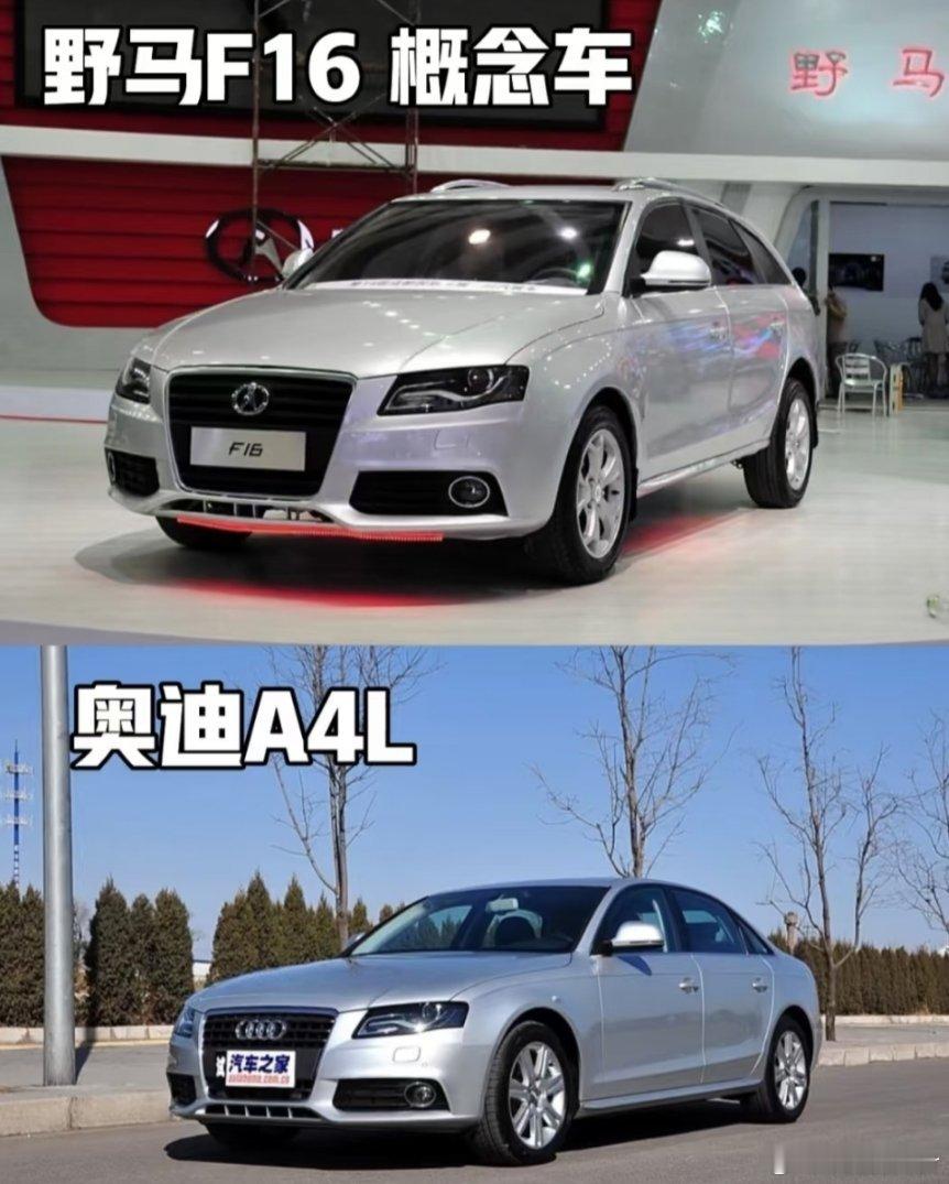 这也太像了吧.....  ​​​