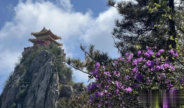 老君山 | 在最美的四月遇见你