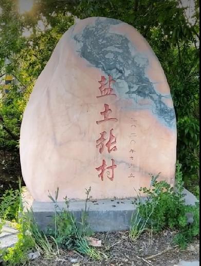 牡丹区安兴镇盐土张庄

盐土张庄位于安兴集西南5公里，北靠王庄，南邻邢庙张庄。村