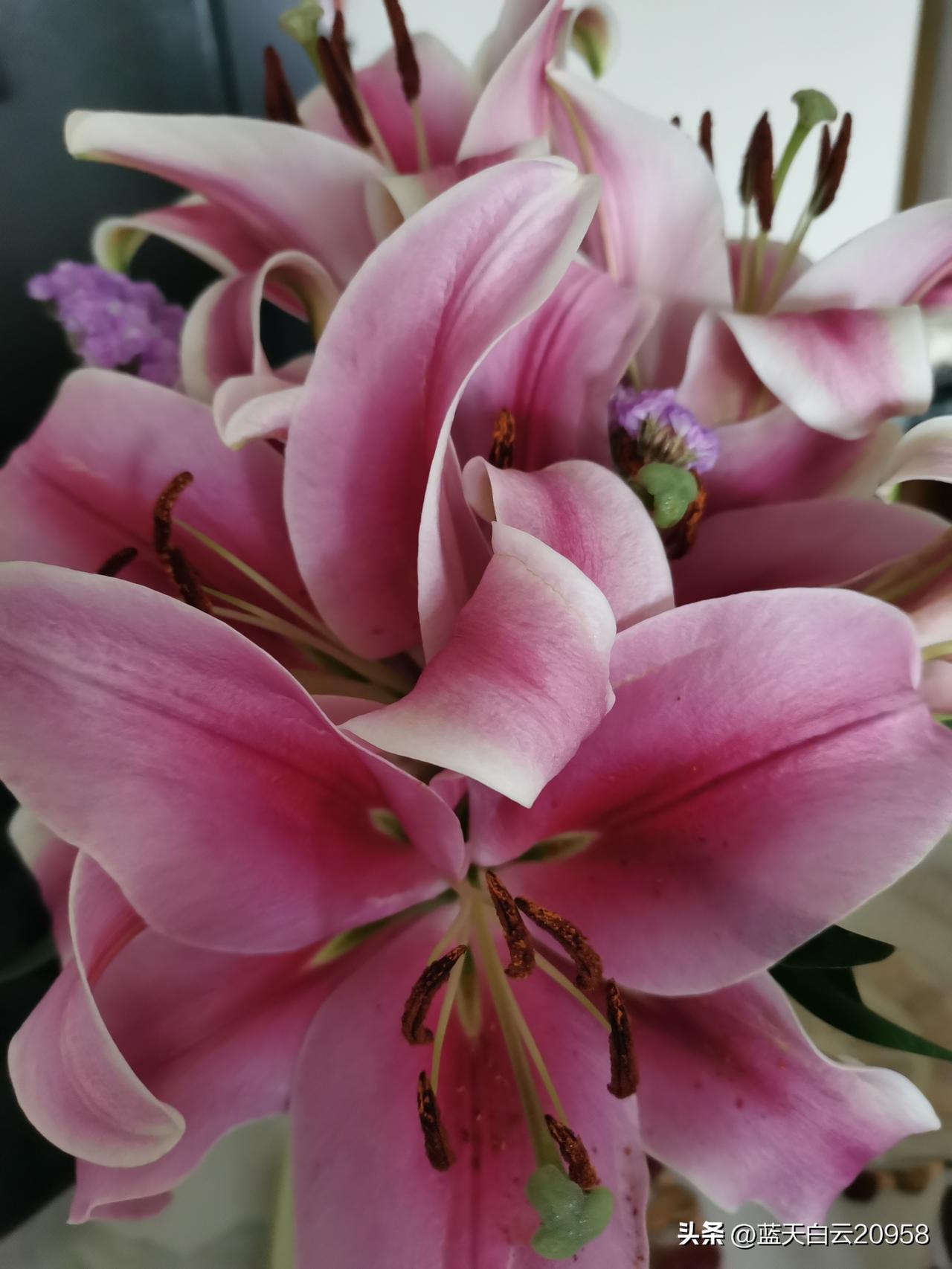 人心无法知足，没娶儿媳妇时，想尽快娶个儿媳妇，看到比自己家条件好很多的人，没娶到