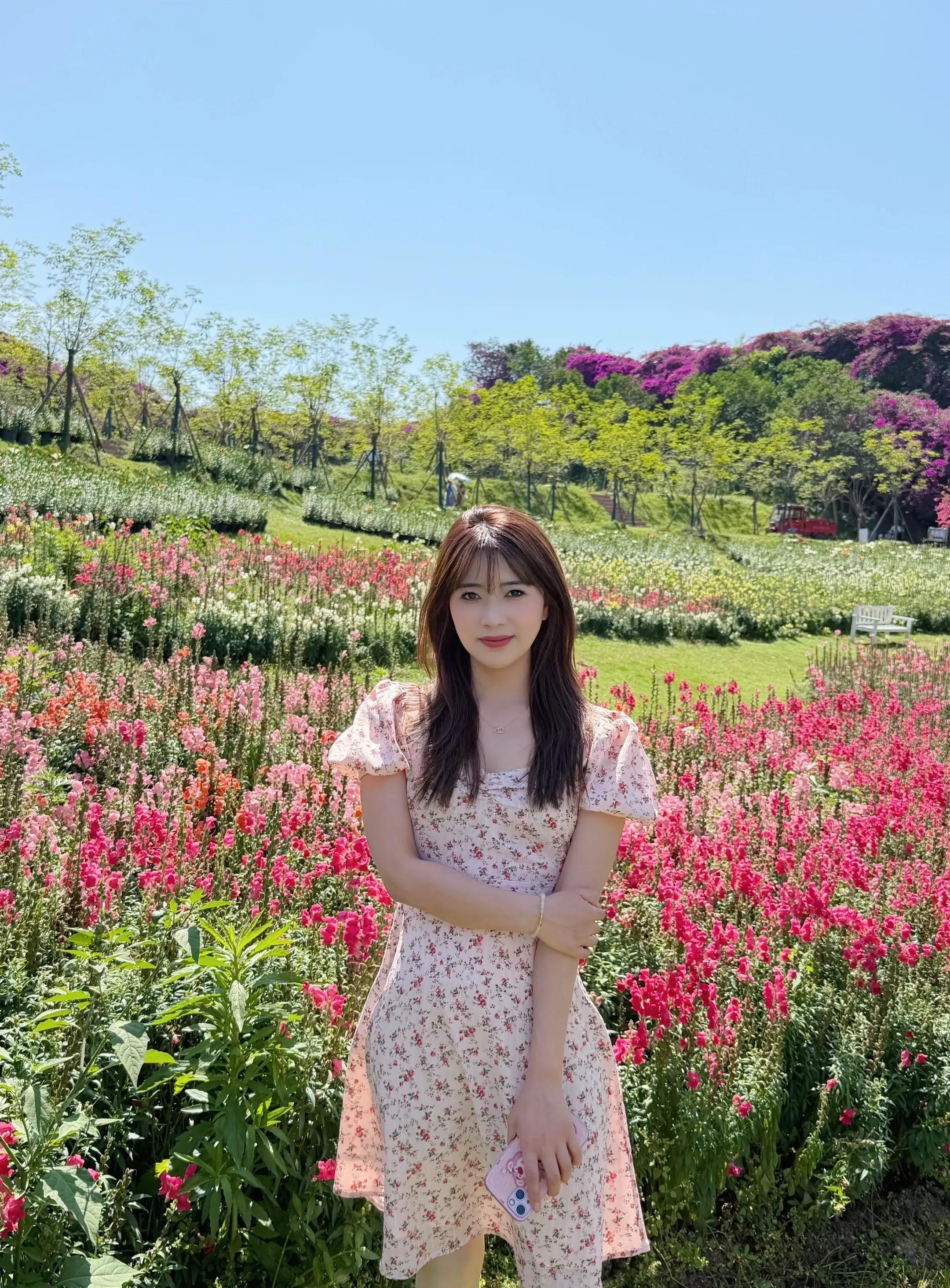 漂亮的花花🌷