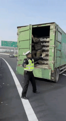 飞了，算谁的责任？🤔