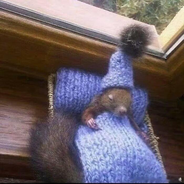 8538what a week, huh? 