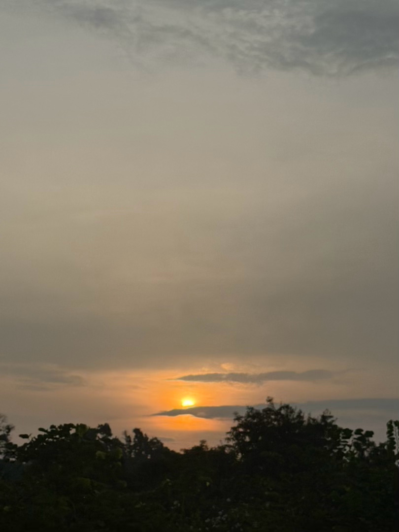 这就是日出吗🌅 