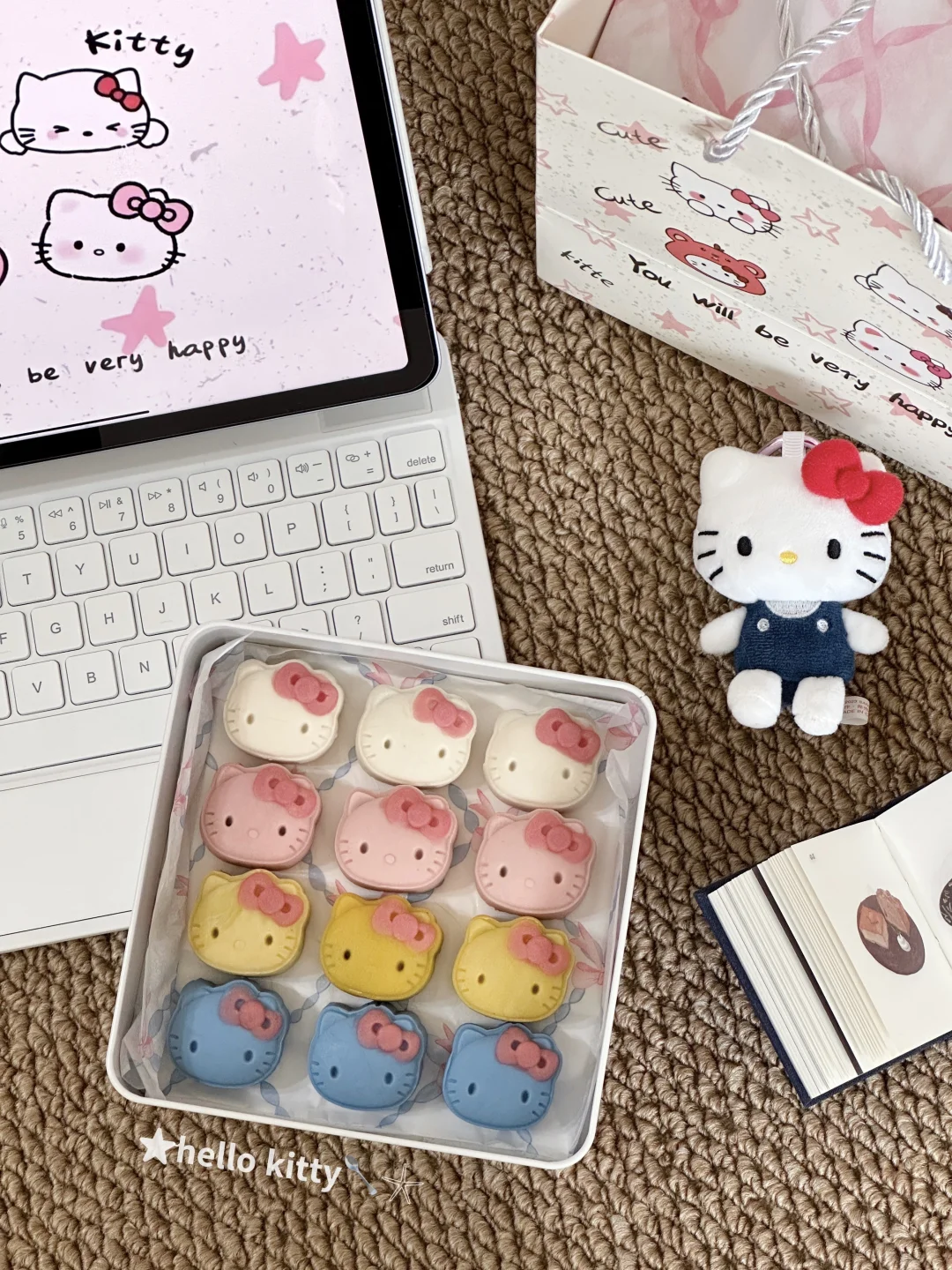 🎀≽^•༚• ྀི≼！秀秀我的hellokitty月饼啦🥮🫧