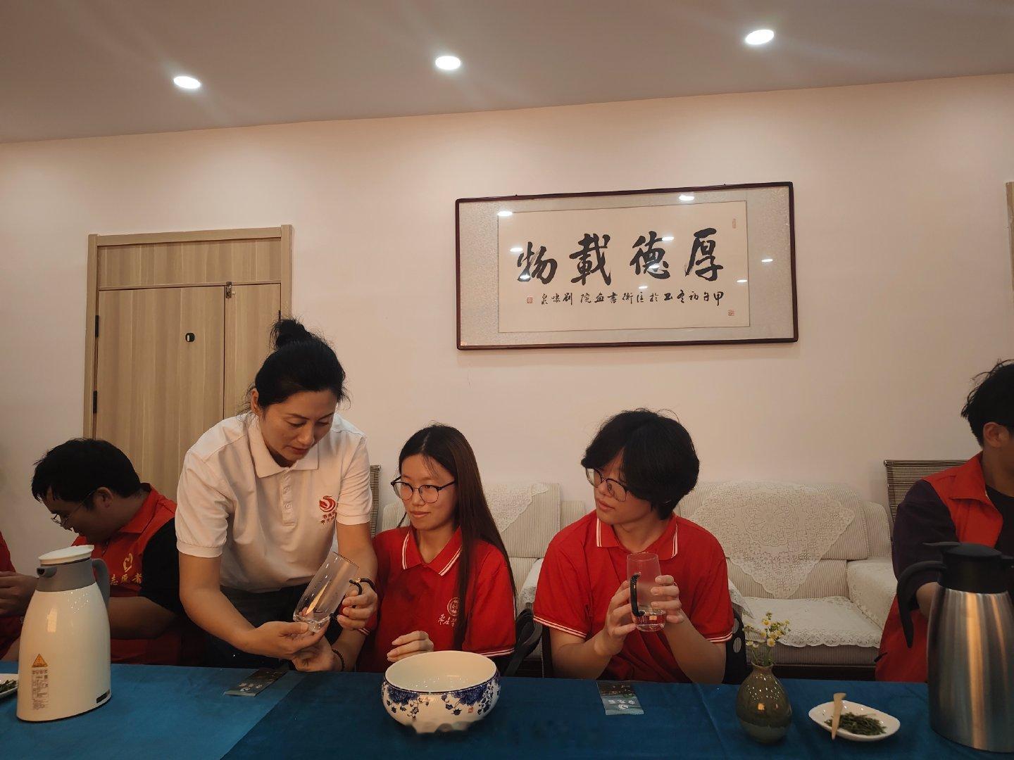 山东学子察农事识病害品茶香 助力三农发展山东青年传递志愿微光【青春赴乡践所学，研