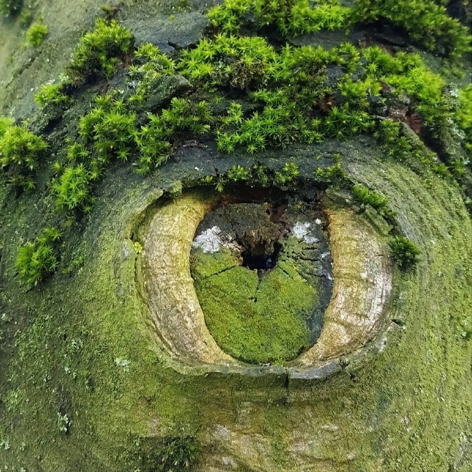 上帝之眼 ​​​