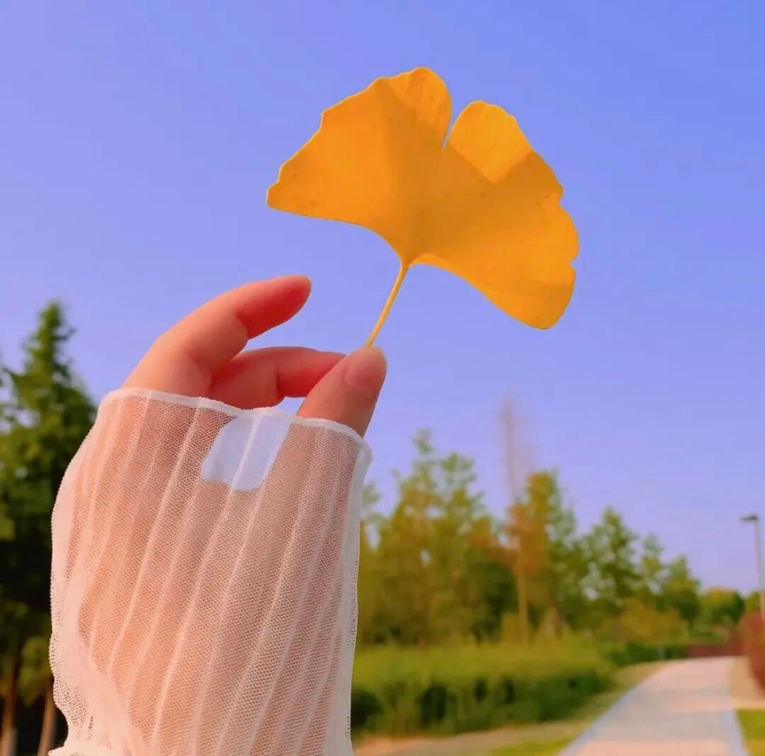 𝗦𝗵𝗮𝗿𝗲 𝐡𝐚𝐩𝐩𝐢𝐧𝐞𝐬𝐬 💬晒晒日常，驱散阴