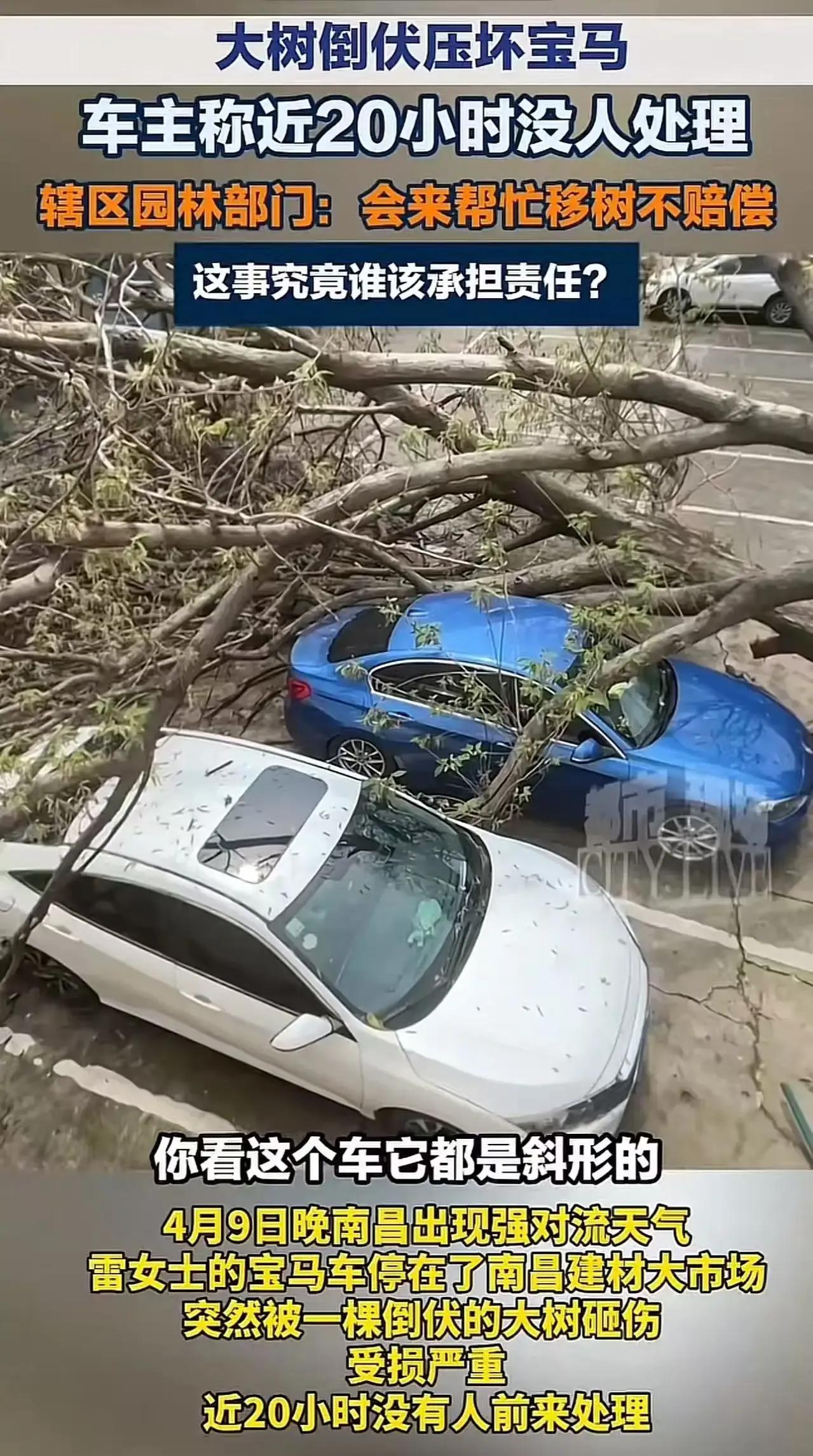 江西南昌一女子遭遇离奇事件，车停路边，大树突然倒下竟压坏了保安！更离奇的是，将近