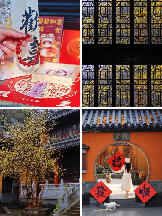 1月来南京，错过灵谷寺的蜡梅该有多遗憾啊