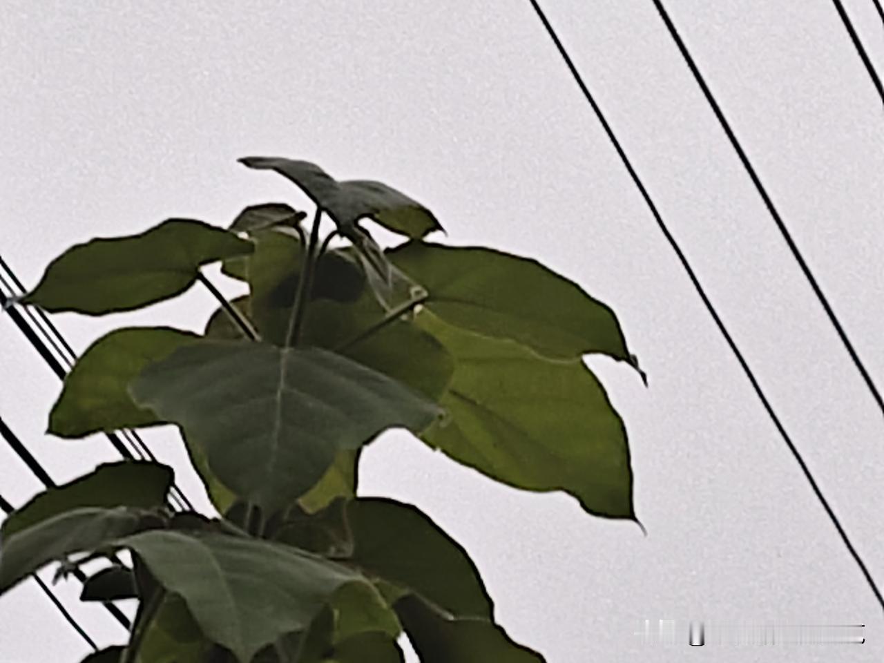 又是崭新的一天
一天好心情
相信积累的力量
一切都是积累而来