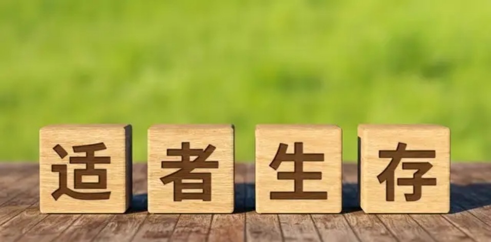 管理层再发声，大盘调整幅度会加大吗？昨日大盘收盘后，管理层重磅发声：严肃查处过度