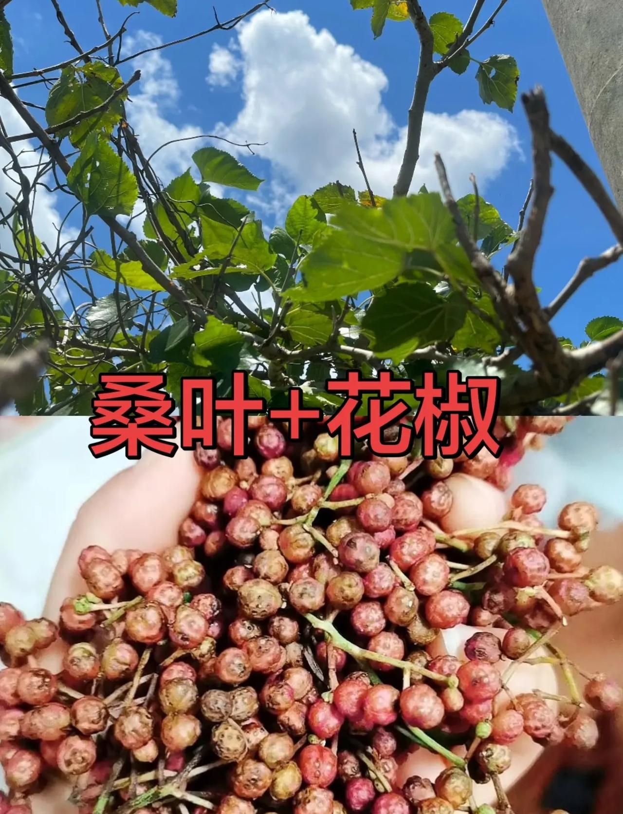下轮对战赵 心童