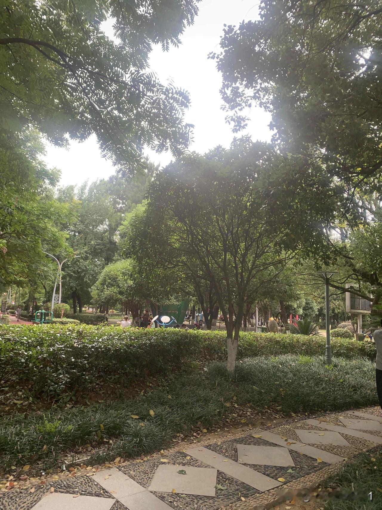 辩证法与诡辩论表面都讲事物两面性，本质却判若云泥。唯物辩证法立足客观现实，承认事