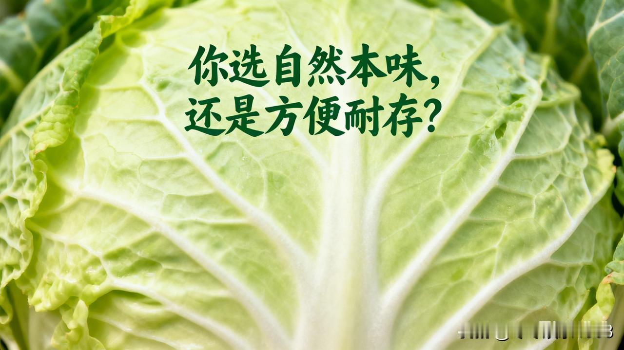 大白菜的功效与作用是什么‌大白菜富含维生素、矿物质及膳食纤维，具有补充营养、促进