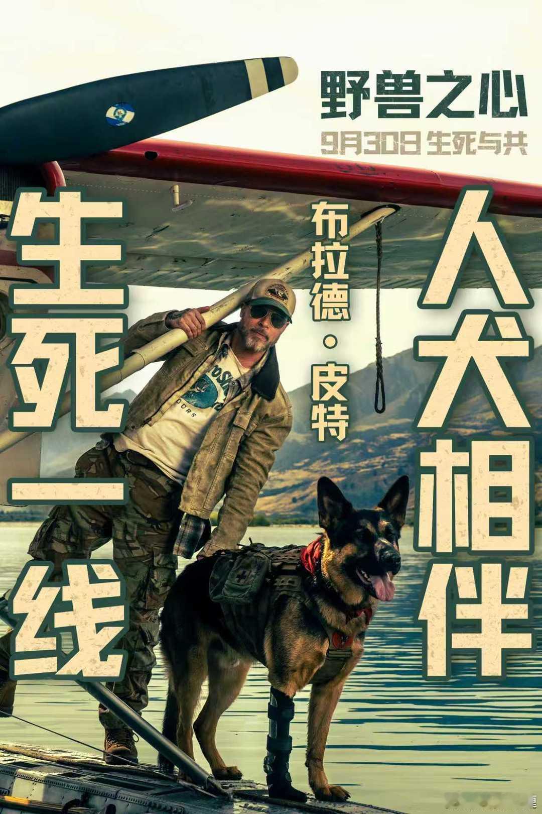 布拉德·皮特主演新片《野兽之心》中国内地定档9月30日，晚北美五天。在一场惨烈的