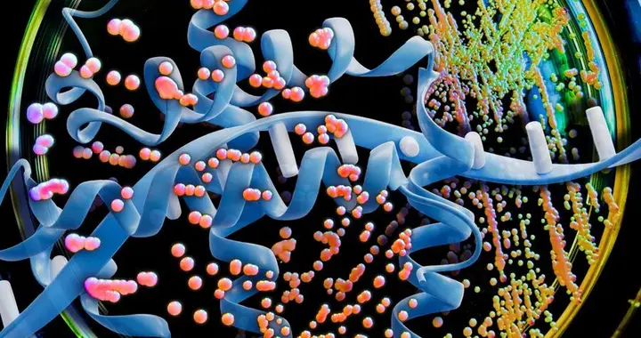 蛋白质药物生产成本有望大幅降低！MIT用大模型优化酵母密码子