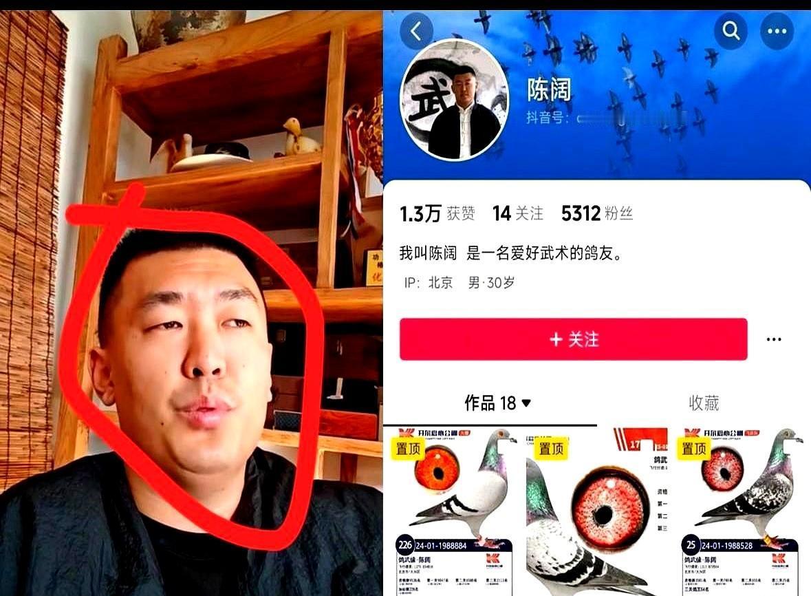 那个拿过全国武术冠军的人，从所有比赛名单里消失了。
现在，他唯一的擂台，是日租金