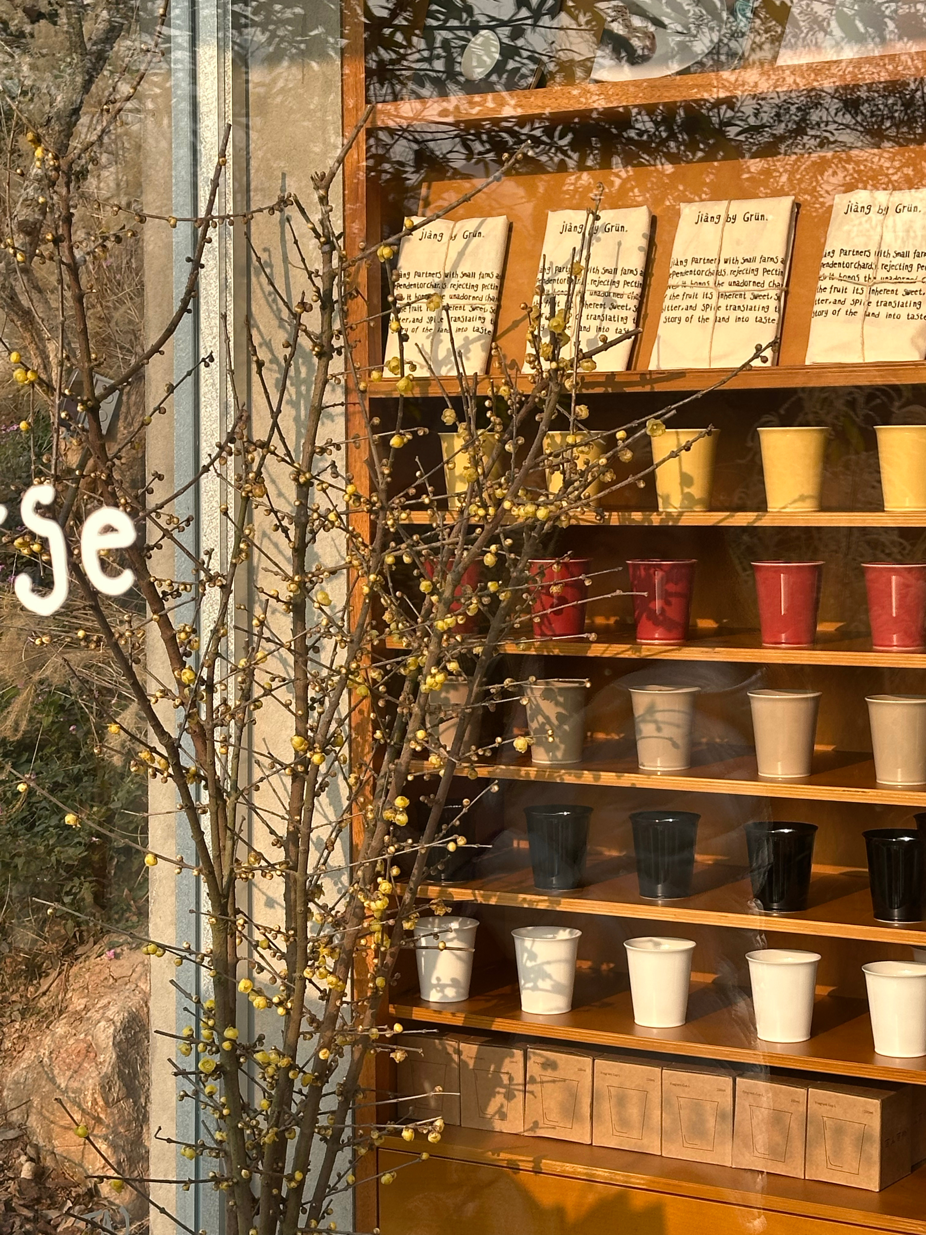 成都的冬日阳光很难得，必须出去走走晒一晒。路上闻到的腊梅香，正好和diptyqu