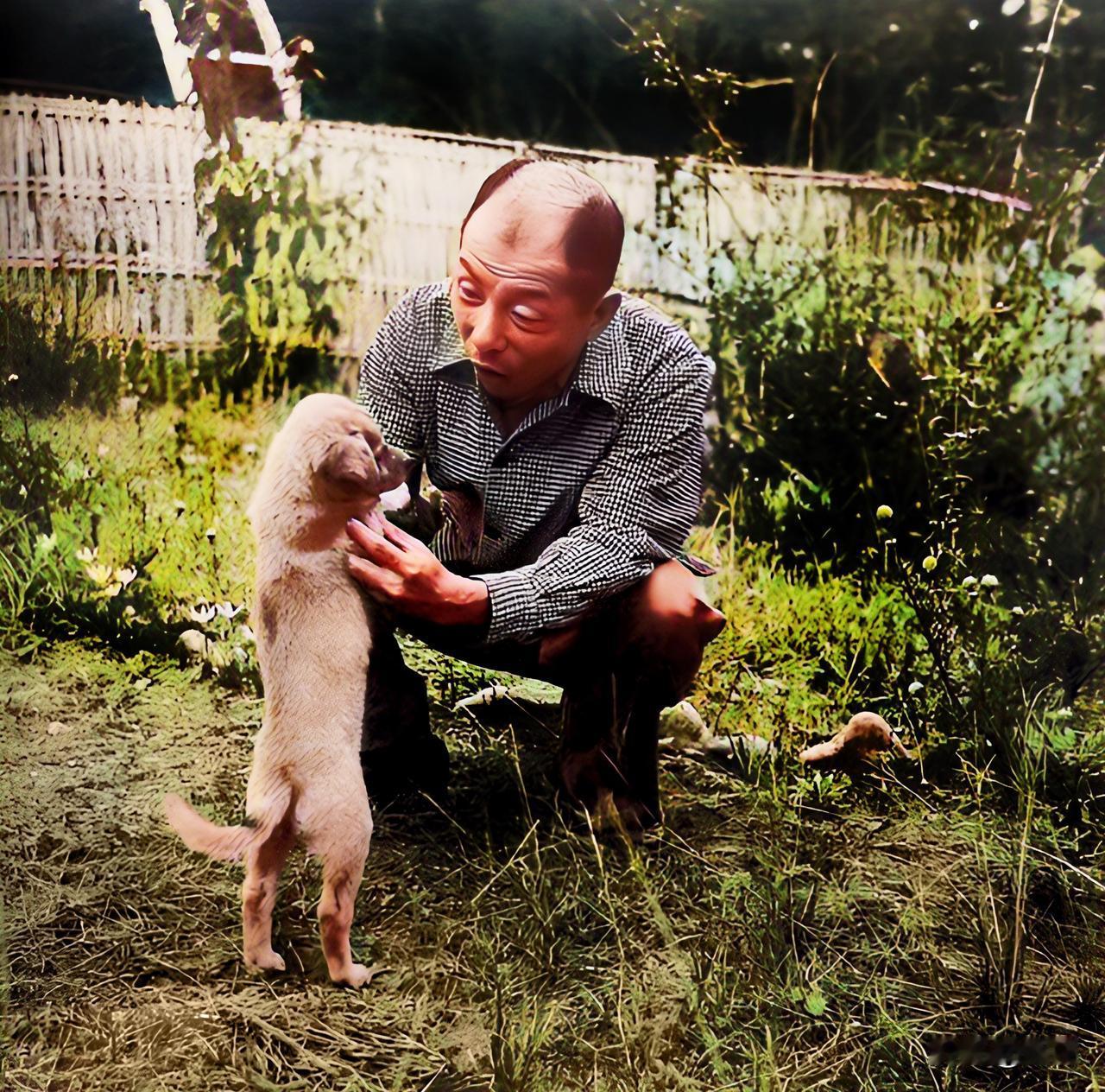 80年代，张学良蹲在井上温泉的花园里逗一只小狗玩。此时的少帅，头发稀疏，俨然一个