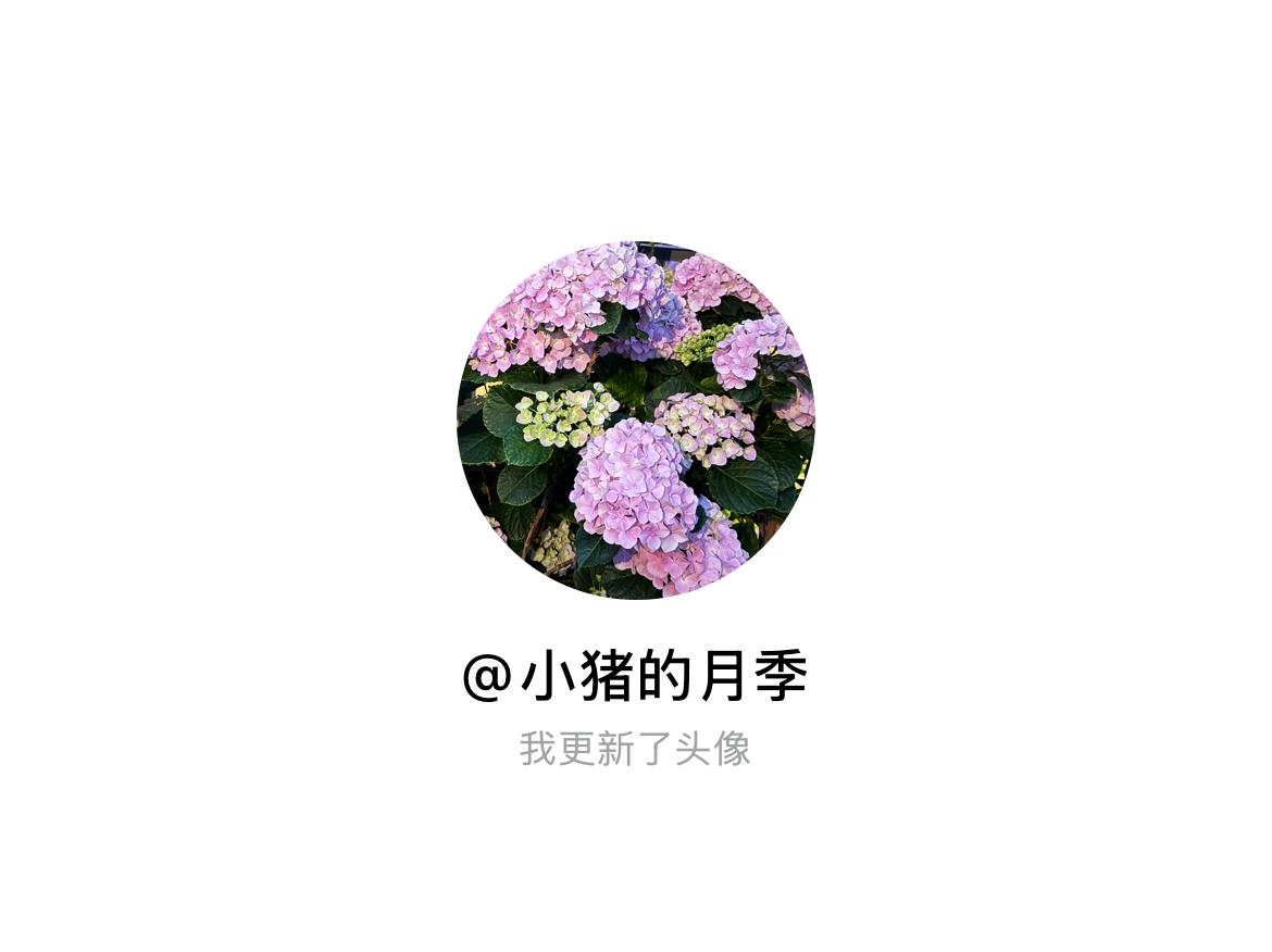 快来看看我新换的头像吧