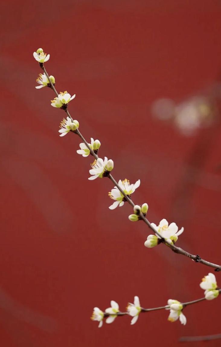 道家有句狠话，叫“锦衣照人心，破衣镇鬼神”
你若发了财，听我一句： 千万别衣锦还