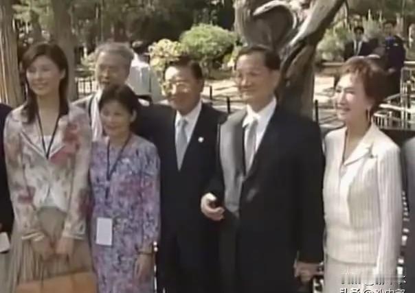 纵观中国国民党内，连战、马英九、吴伯雄、吴敦义、江启臣、洪秀柱、朱立伦等皆是政坛