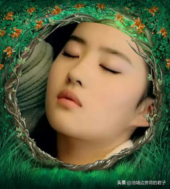 这么多人喜欢刘亦菲，原因太好懂了。最初她演《天龙八部》王语嫣、《神雕侠侣》小龙女