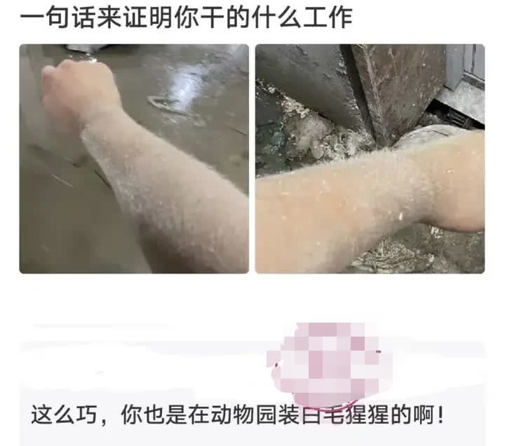 网友太有才了，哈哈哈哈哈哈哈哈哈 