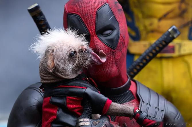 #周四快乐#早！ ​​​