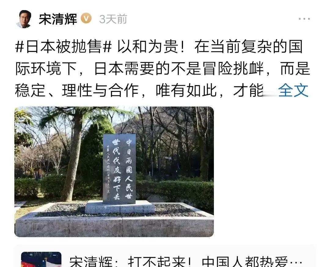 最近刷到几条说要中日友好的内容，总觉得哪里不对。不是反对友好，而是友好得有前提吧