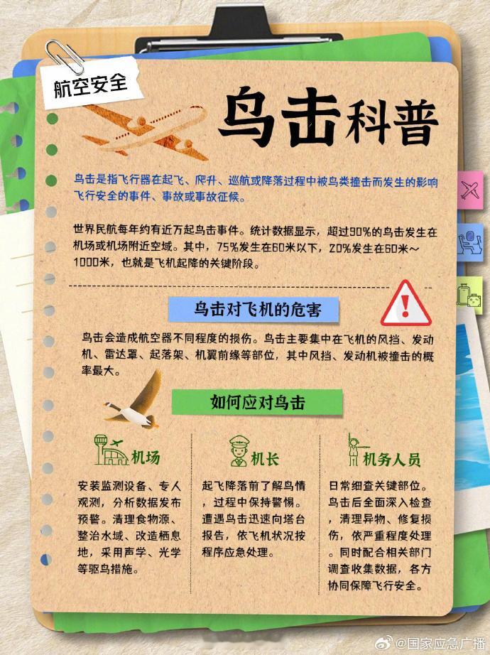 印度坠机遇难人数升至170人【都是在天上飞的，飞机为何怕鸟？】💥 鸟撞飞机有多