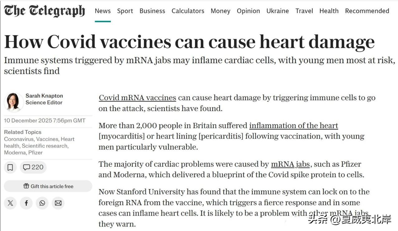 研究发现，新冠 mRNA 疫苗（如 Pfizer、Moderna）可能因免疫系统