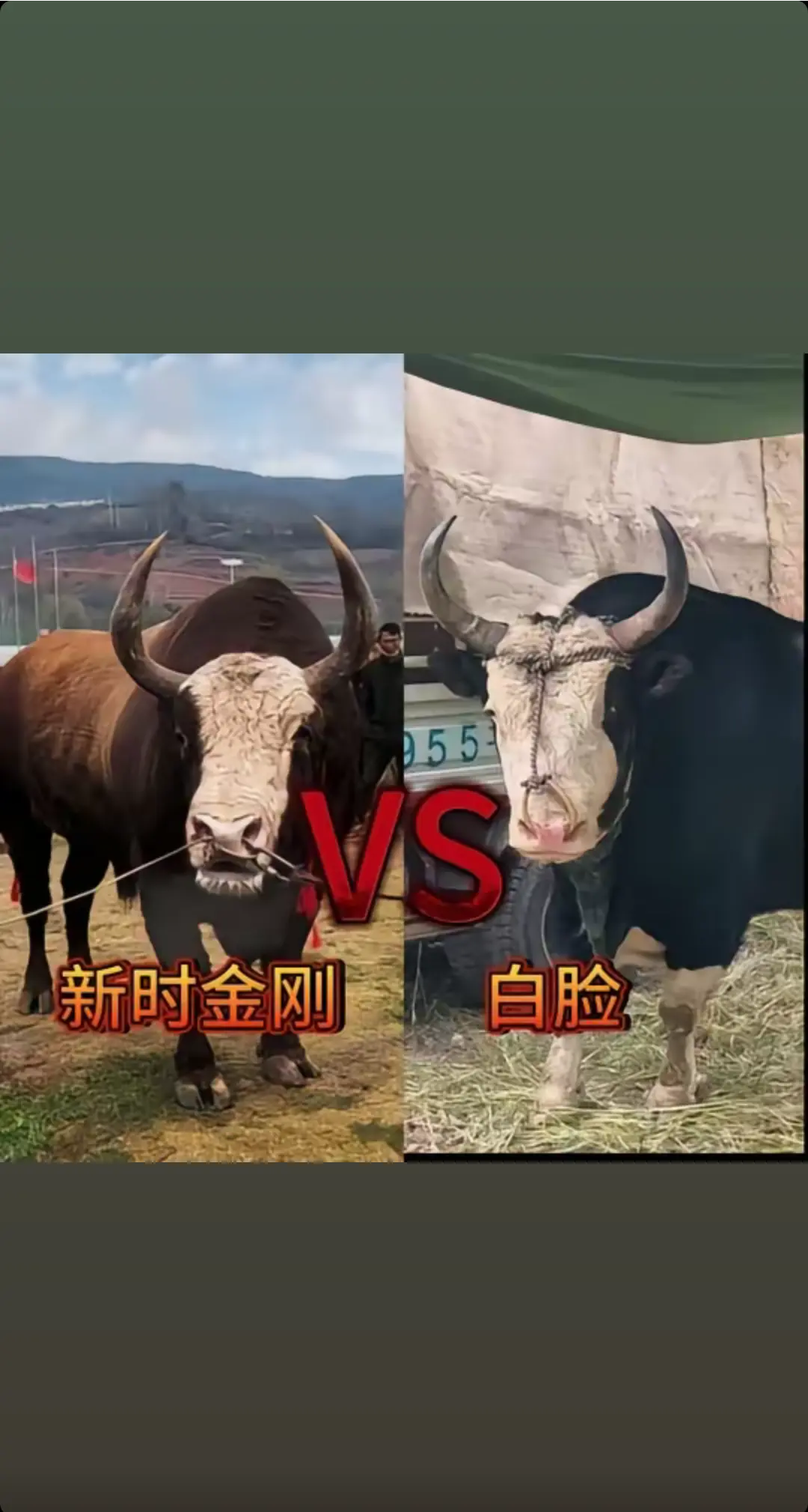 这一架可能要约成，我们就坐等吧👉🇨🇳