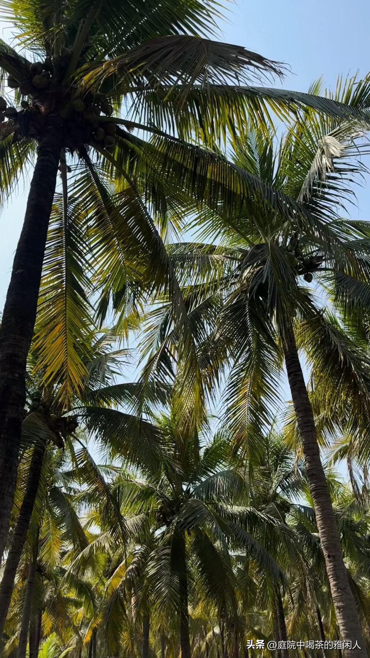 现在的房东，真的没有大家想象中那么好过了，日子早就不像前几年那么滋润。我身边有个