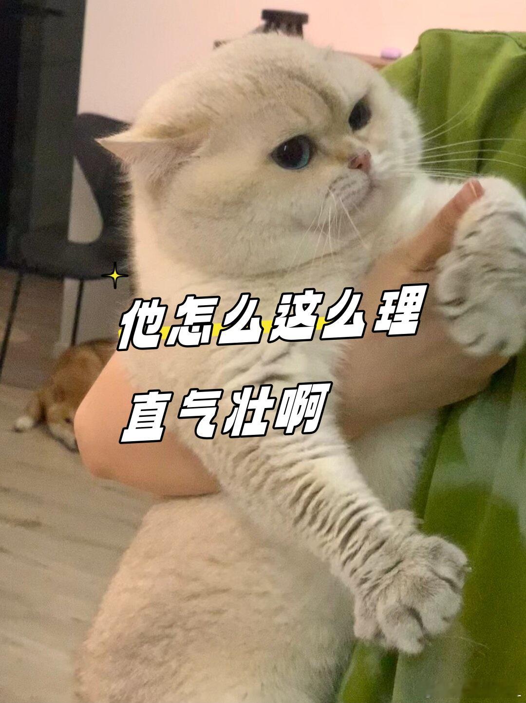 我反对邱工的说法。邱工说，能源没有新旧之分。怎么没有新旧之分？新与旧，在汽车领域